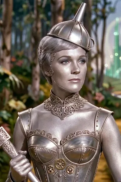 The Tin Woman