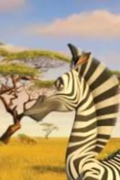 Marty the Zebra photo