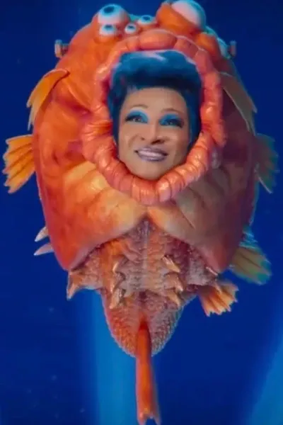 Wanda Sykes photo