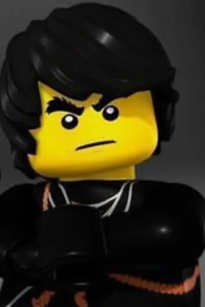 Cole (Ninjago) photo