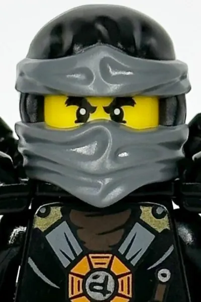 Cole (Ninjago) photo