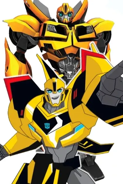 Bumblebee photo