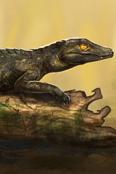 Araripesuchus photo