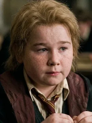 Peter Pettigrew