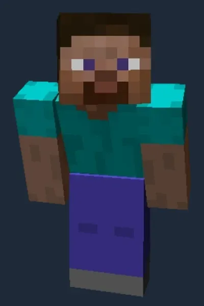 Steve