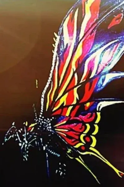 Battra photo