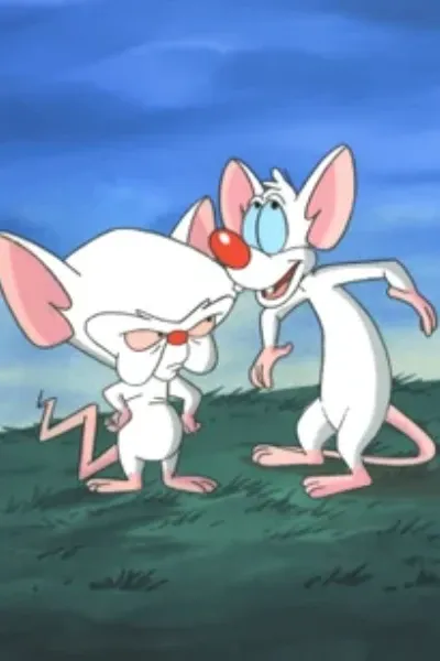 Pinky and The Brain photo