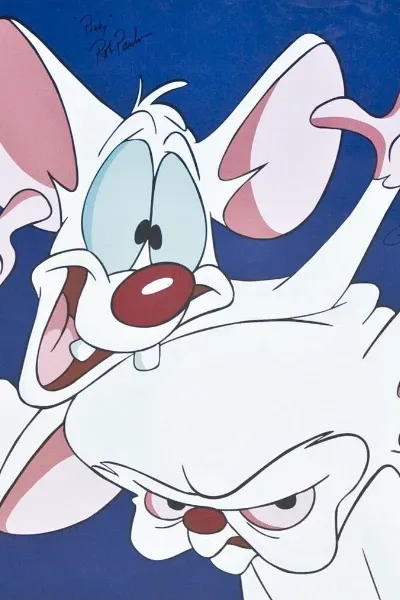 Pinky and The Brain photo