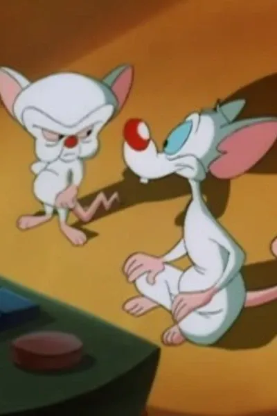 Pinky and The Brain photo