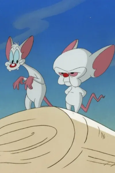 Pinky and The Brain photo