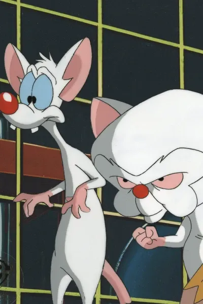 Pinky and The Brain photo