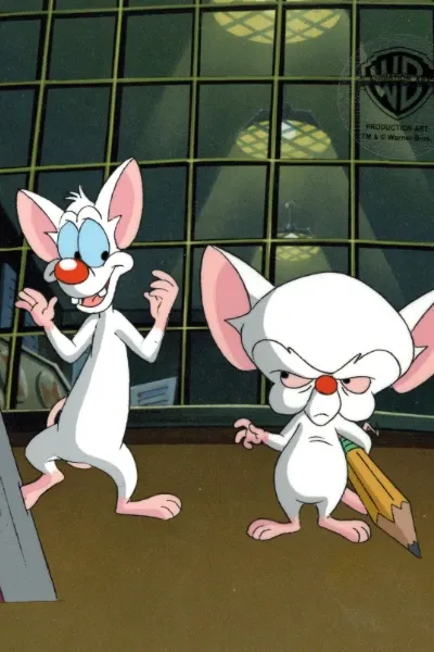 Pinky and The Brain photo