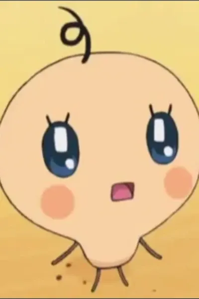 Young Memetchi photo