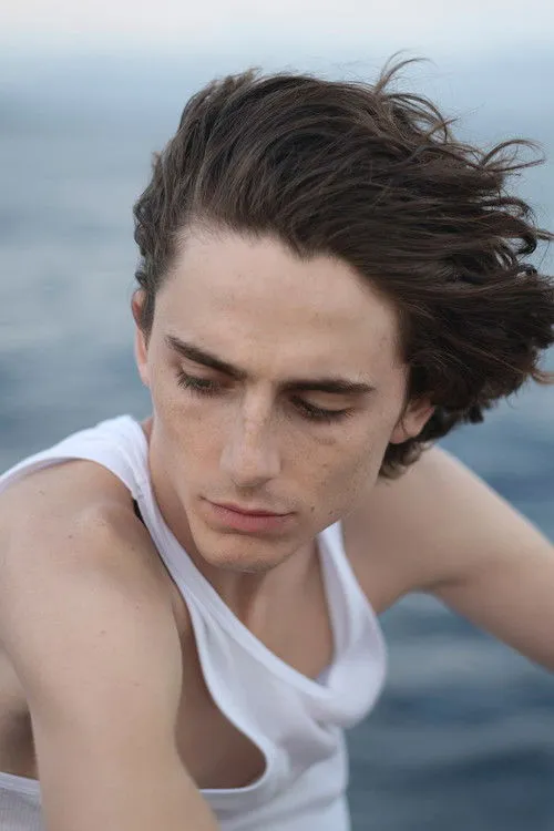 Timothée Chalamet photo