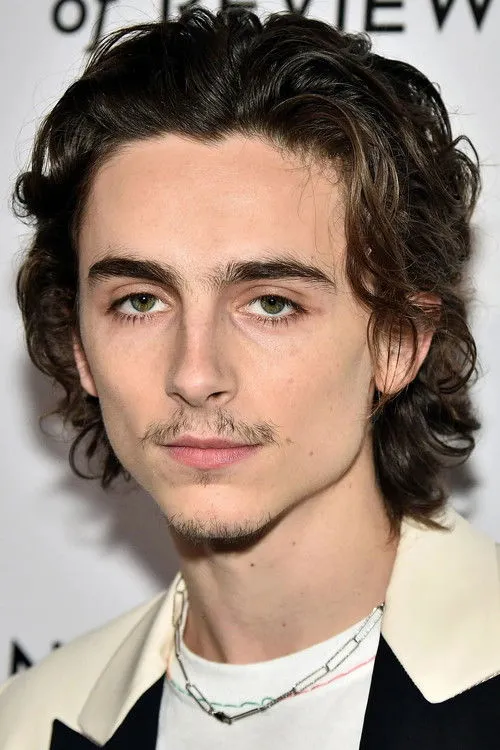 Timothée Chalamet photo