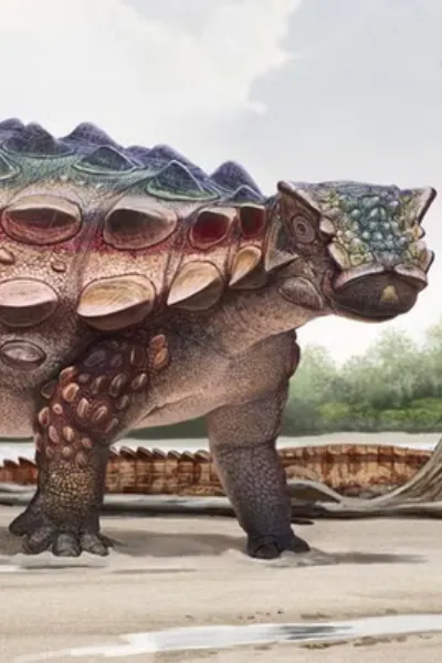 Ankylosaurus photo