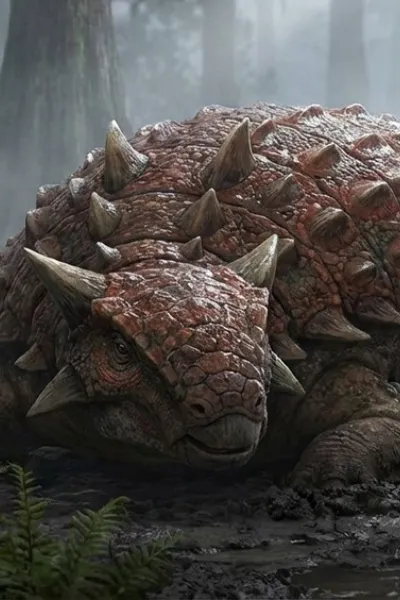 Ankylosaurus photo