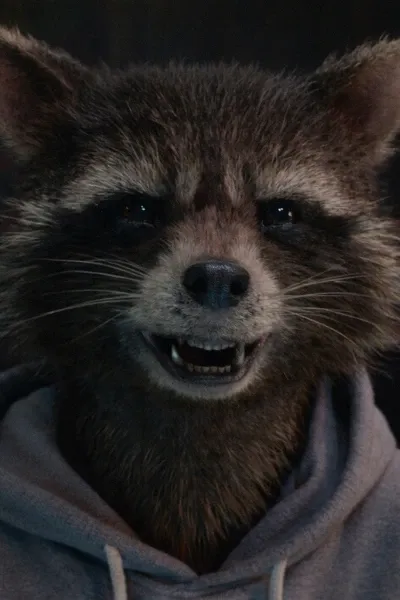 Roger the Raccoon (Reboot) photo