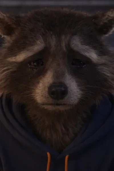 Roger the Raccoon (Reboot) photo