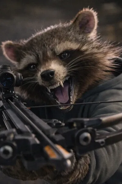 Roger the Raccoon (Reboot) photo