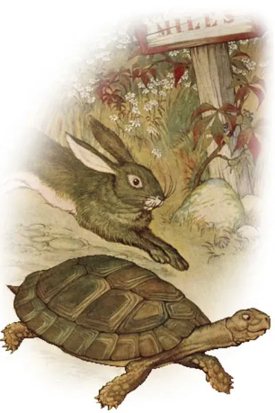 The Tortoise and The Hare photo