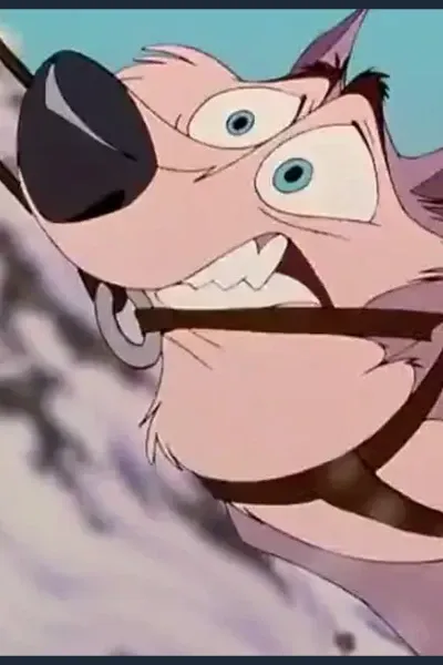 Star (Balto) photo
