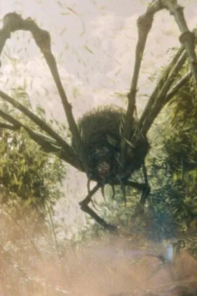 Mother Longlegs photo