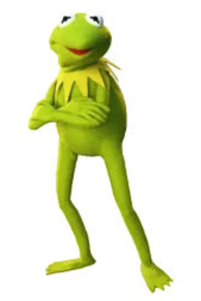 ImJayStation photo: Kermit the frog
