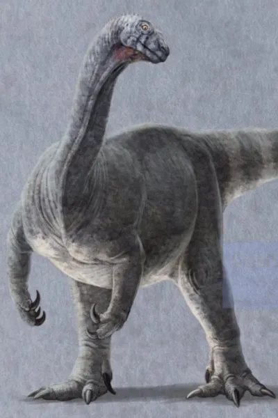 Mussaurus photo
