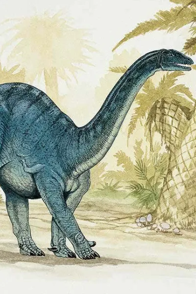 Mussaurus photo