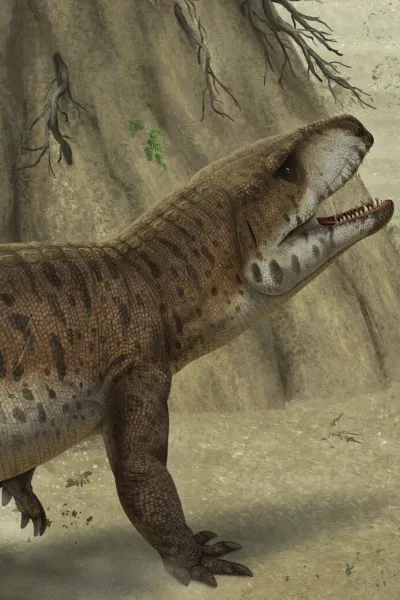 Rauisuchus photo