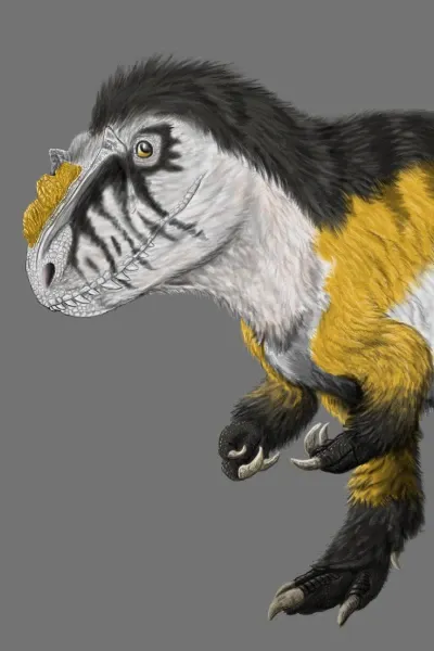 Yutyrannus photo