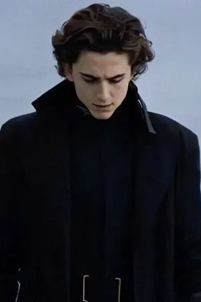 Paul Atreides photo