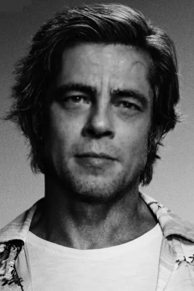 Benicio del Toro photo