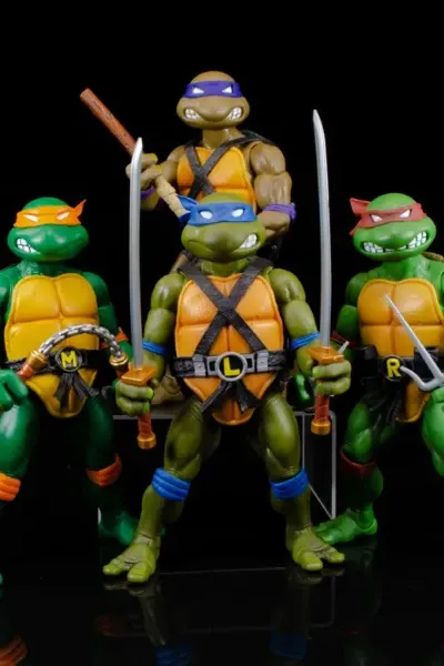 TMNT photo