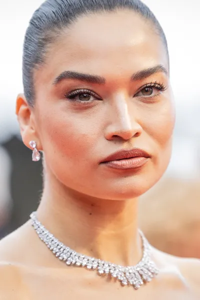 Shanina Shaik photo