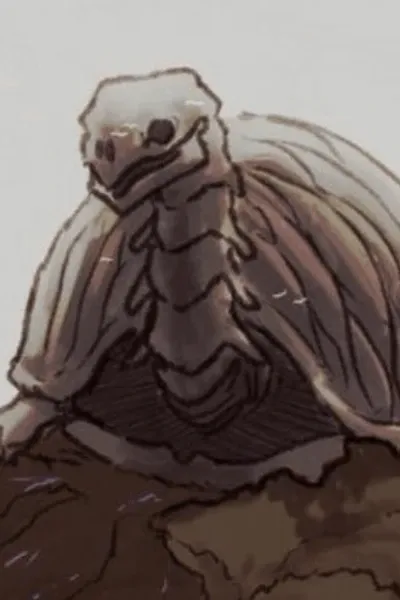Skeleturtle photo