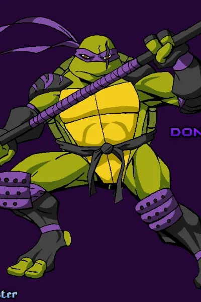 Donatello (TMNT) photo