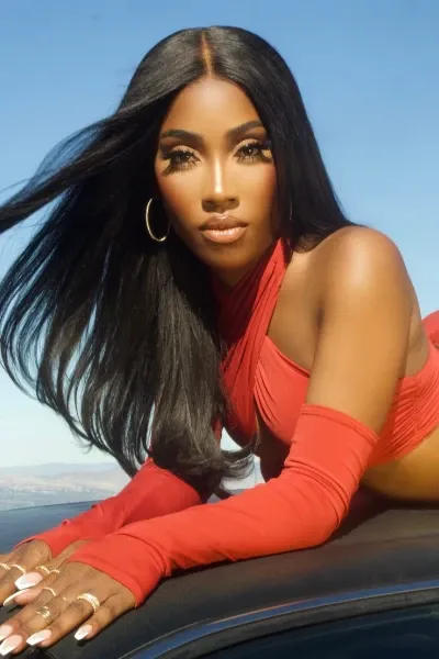 Sevyn Streeter photo