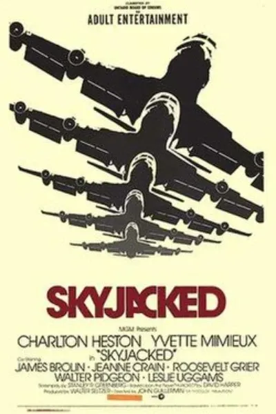 Skyjacked (film)