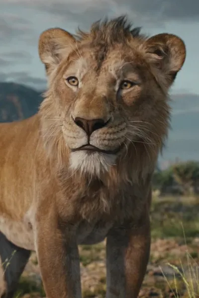 Mufasa (The Lion King 2019)