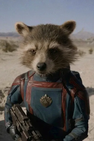 Rocket Raccoon photo