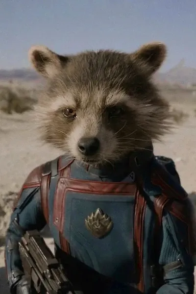 Rocket Raccoon photo