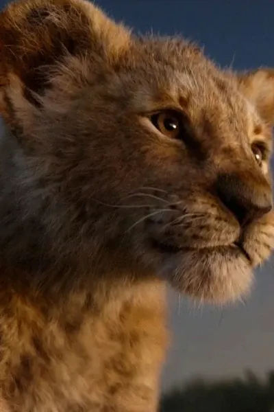 Simba (The Lion King) photo