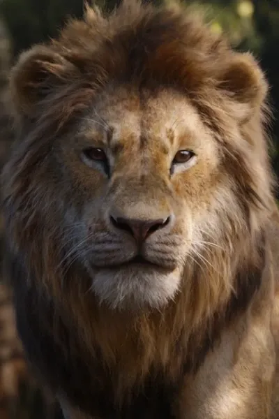 Simba (The Lion King) photo
