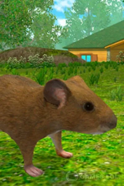 Mouse