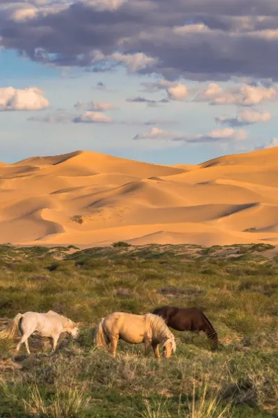 Mongolia