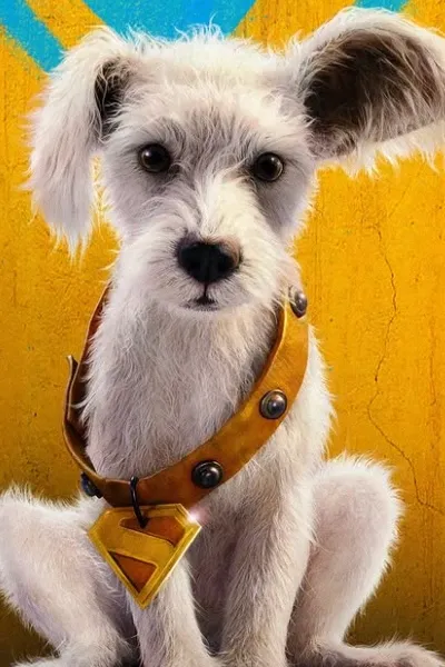 Ozu the Dog photo