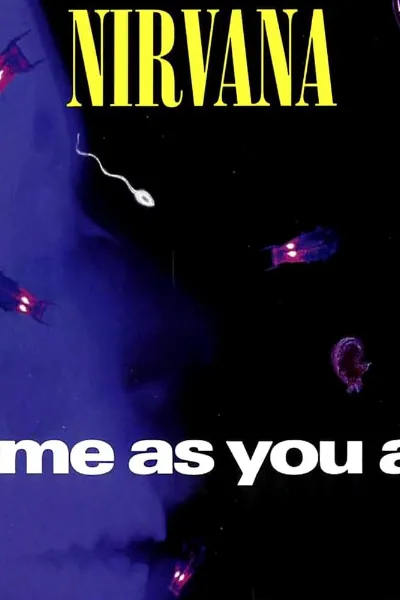 Come as You Are (Nirvana song) photo
