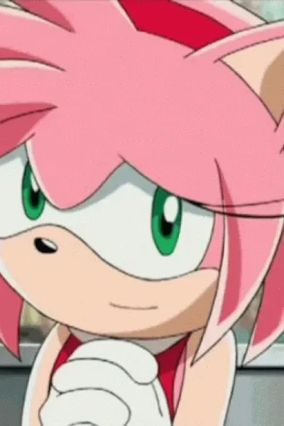 Amy Rose photo